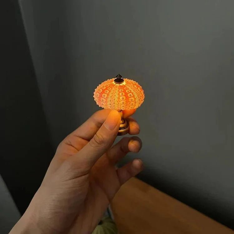 DIY Zee-egel Nachtlampje - LumiUrchin