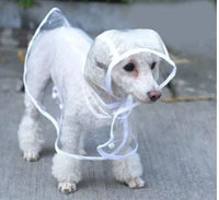Transparent Waterproof Raincoat for Dogs - DryPaw