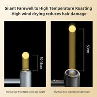 PROFESSIONAL HAIRDRYER 2400W WITH COLD AND WARM AIR - NEGATIVE IONS - POWERFUL HAIRDRYER FOR SALON RESULTS