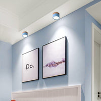 Morandi Style Modern LED Ceiling Lamp - LumiModo