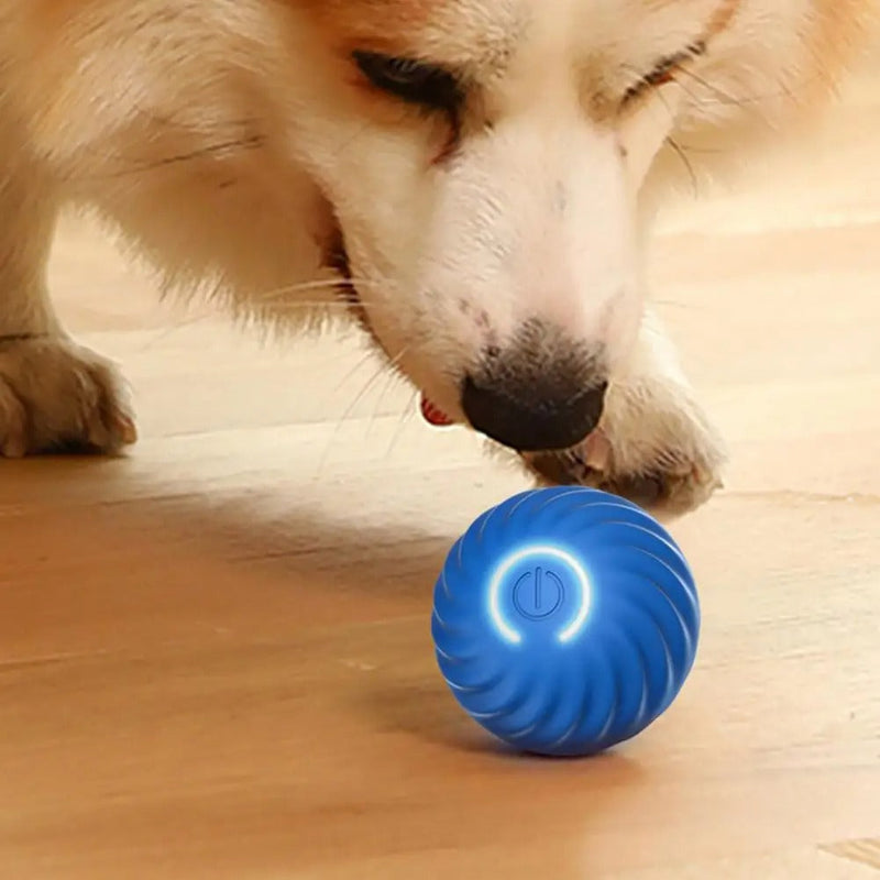 Automatic Interactive Dog Toy - RolliPlay