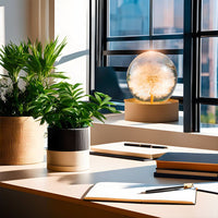 Kristallen Bol Lamp met Eeuwige Bloemen – Lumora