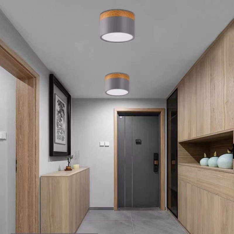 Morandi Style Modern LED Ceiling Lamp - LumiModo