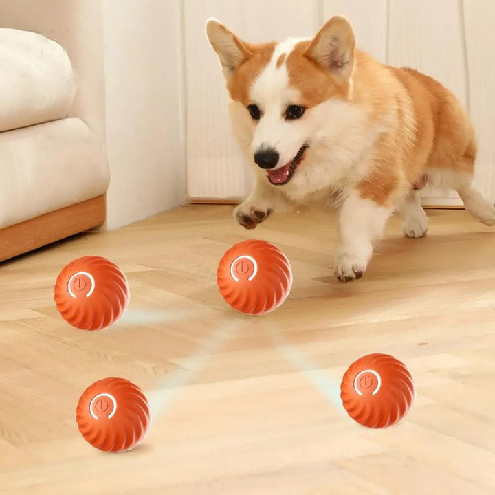 Automatic Interactive Dog Toy - RolliPlay