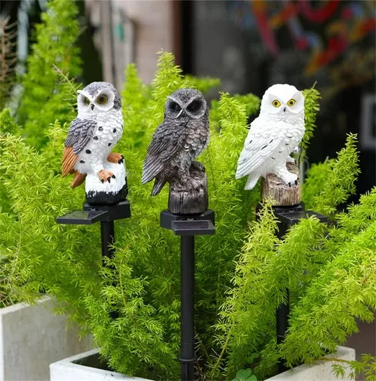 Drie uilfiguren in bruinwit, donkerbruin en wit op grondpinnen in plantenbakken met fris groen struikgewas, overdag gefotografeerd. 10
