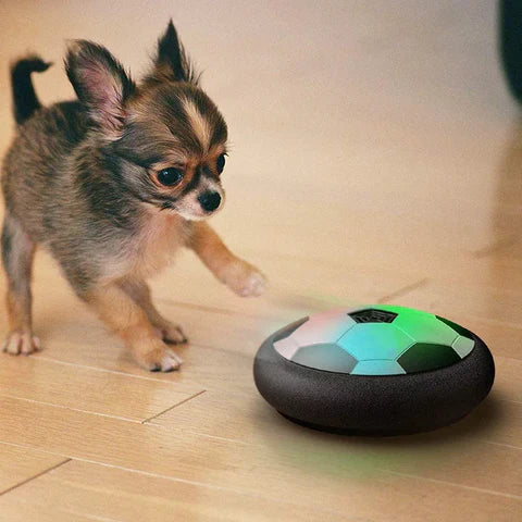 Interactief Voetbalspeelgoed voor Honden - PlayBall Pro