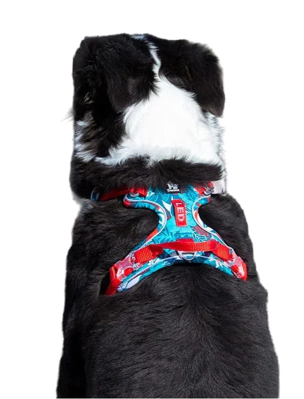 Arnés para perro cómodo y duradero – Vendo