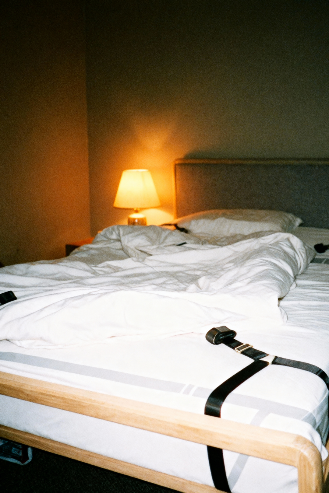 Complete Restraints Trio – Bed, Body & Harness Set 13