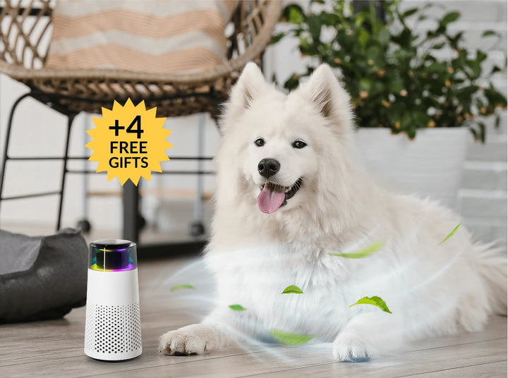 Pet Scent Humidifier - PetFresh