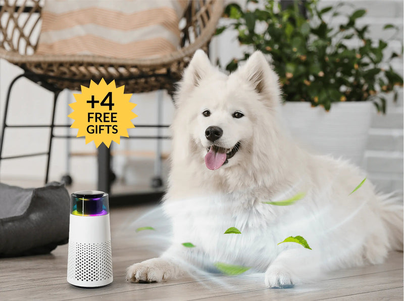 Pet Scent Humidifier - PetFresh