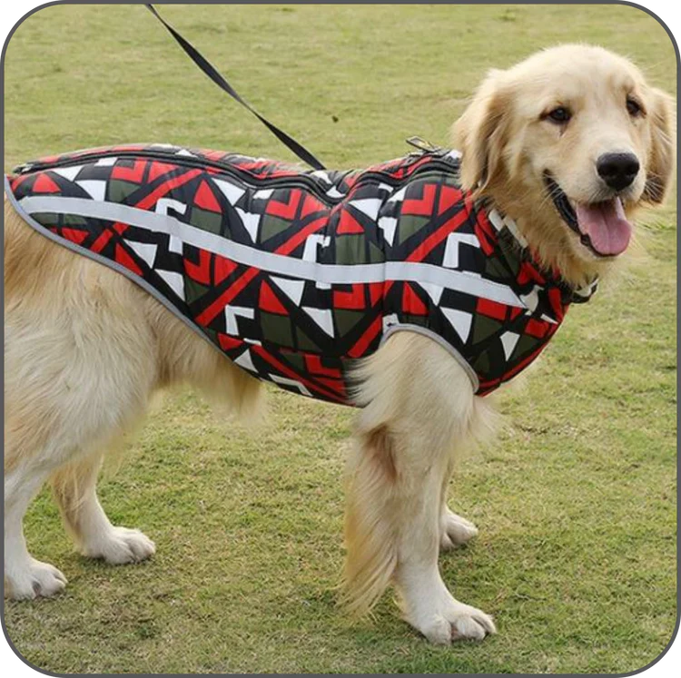 Waterproof Winter Jacket for Dogs - StormGuard