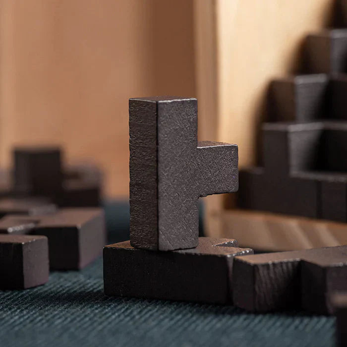 3D Houten Breinbreker - PuzzleMaster