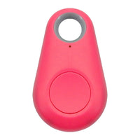 Pet GPS Tag - PawFinder
