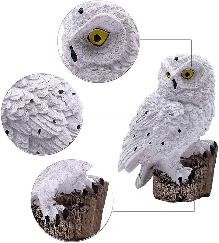 Witte uil op boomstronk met zwarte stippen, met drie vergrote details van oog, veren en klauwen. 14