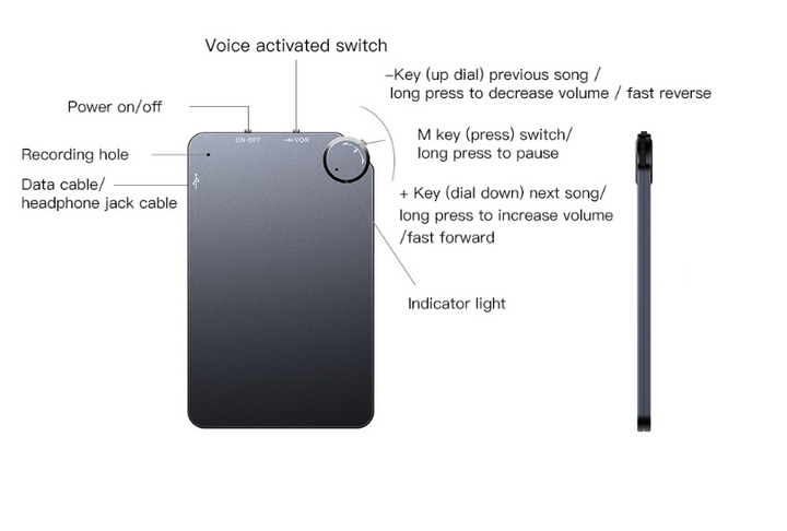 Mini Voice-Controlled Recorder - EchoNote