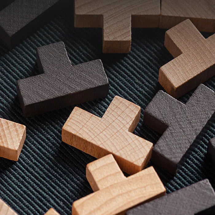 3D Houten Breinbreker - PuzzleMaster