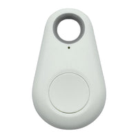 Pet GPS Tag - PawFinder