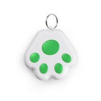 Pet GPS Tag - PawFinder