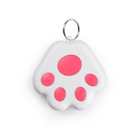 Pet GPS Tag - PawFinder