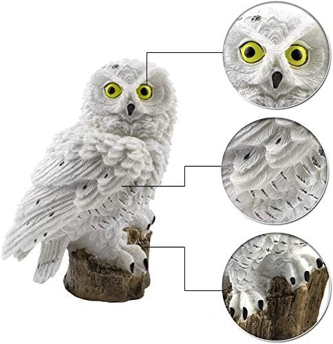 Witte uil op boomstronk met drie ingezoomde details van de gele ogen, de veren en de klauwen. 11