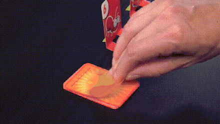 Active Frog Game for Young and Old - FrogFlip