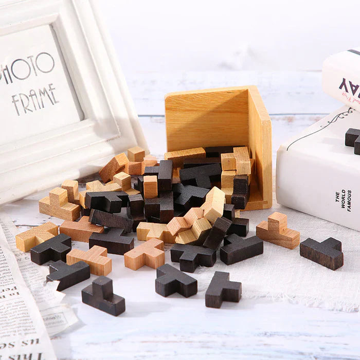 3D Houten Breinbreker - PuzzleMaster
