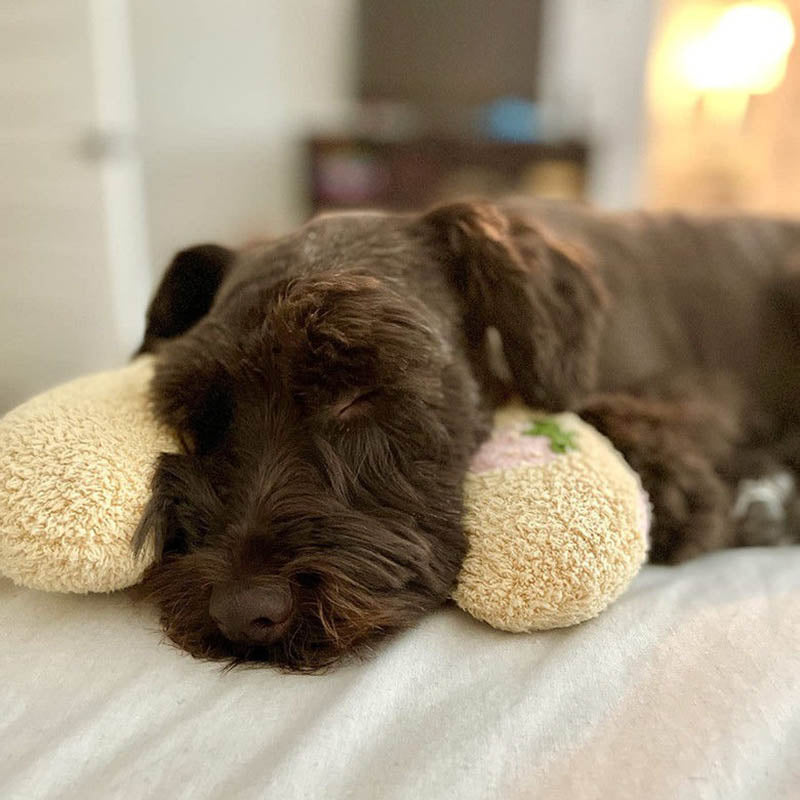 Comfortable Cushion for Dogs - CalmNest