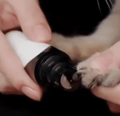 Electric Nail File for Dogs – PawTrim