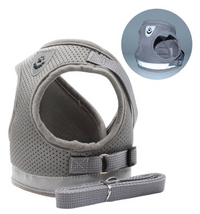Cat Harness with Leash - AdventureKit