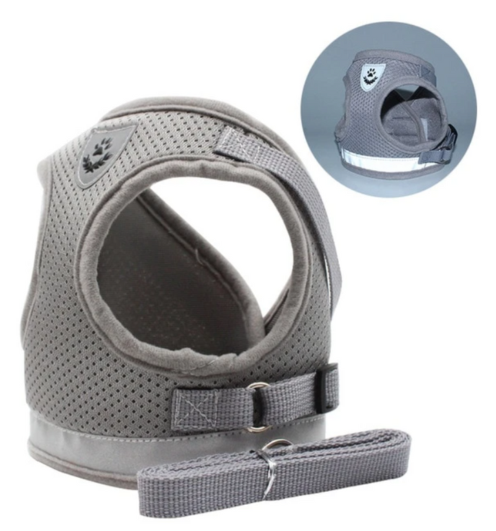 Cat Harness with Leash - AdventureKit