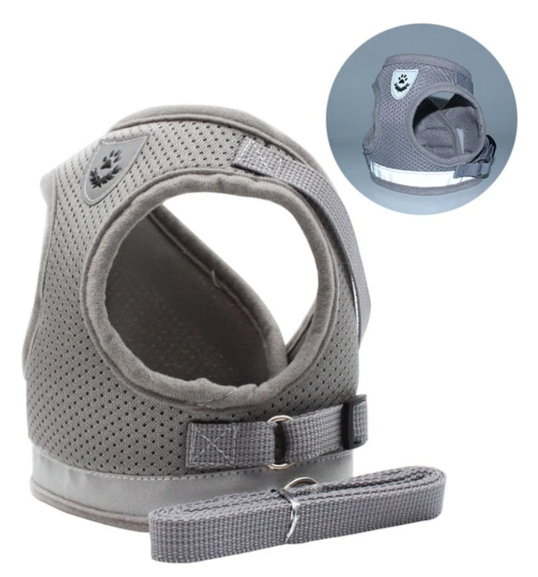 Cat Harness with Leash - AdventureKit