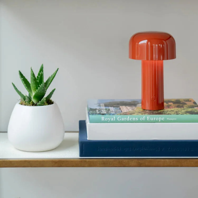 Rode paddenstoellamp op een stapel boeken op een plank naast een vetplant in een witte pot 16