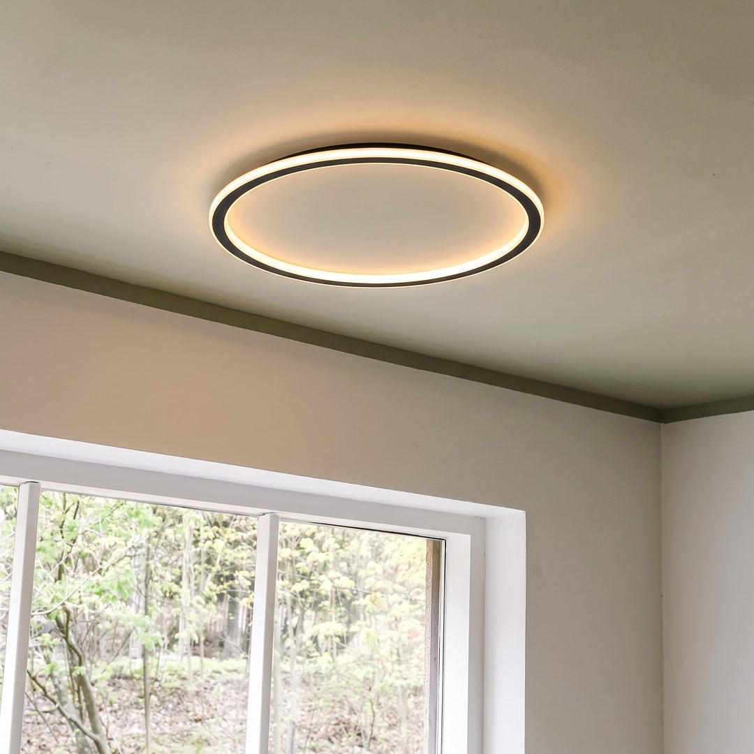 Brandende ringlamp aan een lichtgroen plafond naast een wit raam met uitzicht op bomen, schuin van onderen gezien. 8