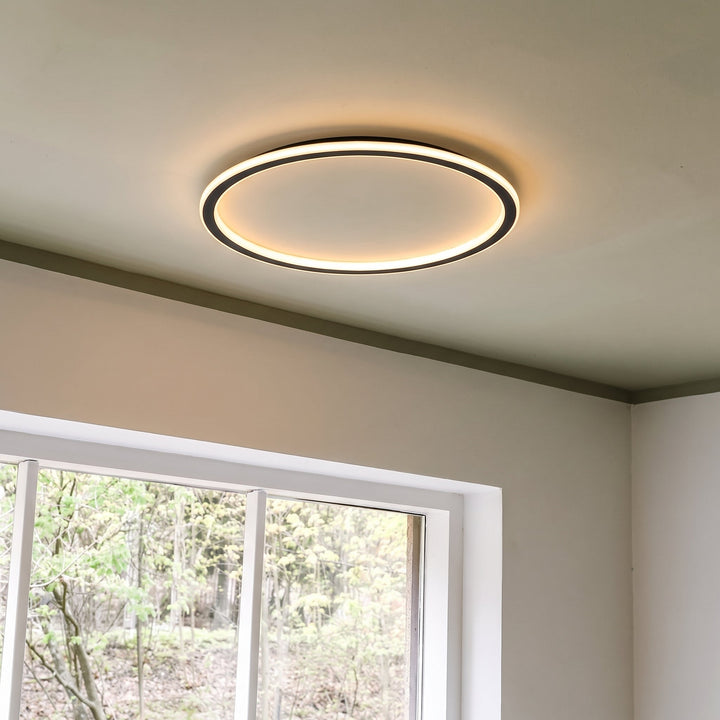Brandende ringlamp aan een lichtgroen plafond naast een wit raam met uitzicht op bomen, schuin van onderen gezien. 8