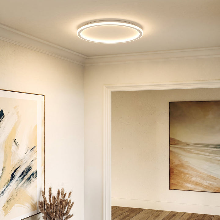 Aangestoken ringlamp aan het plafond van een gang met lijstwerk, schilderijen en een vaas met gedroogde graspluimen. 3