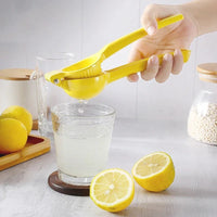 Manual Aluminum Citrus Juicer - CitrusPress