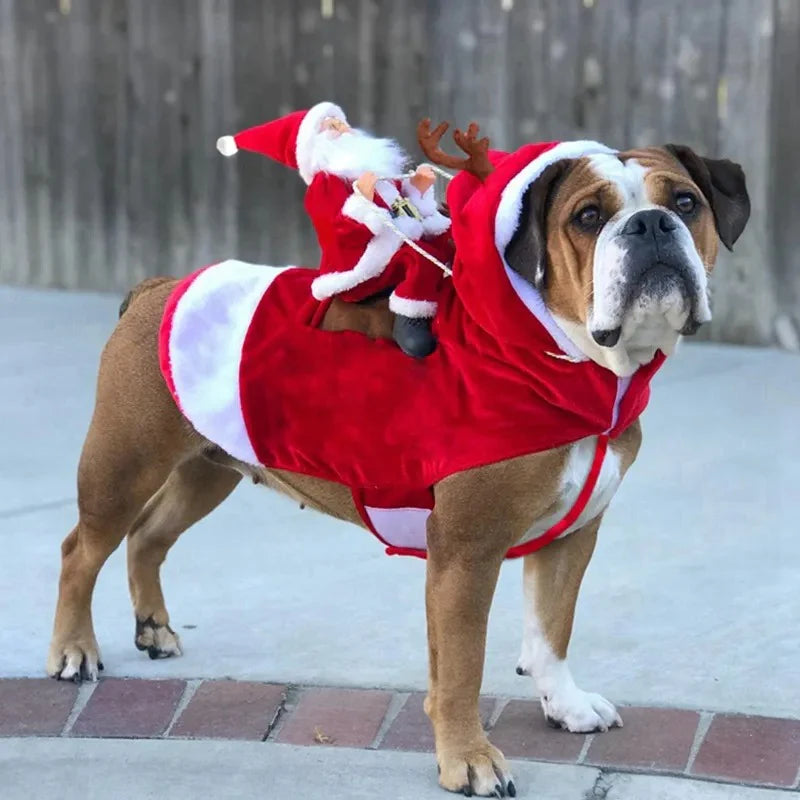 Christmas Costume for Dogs - SantaPaws