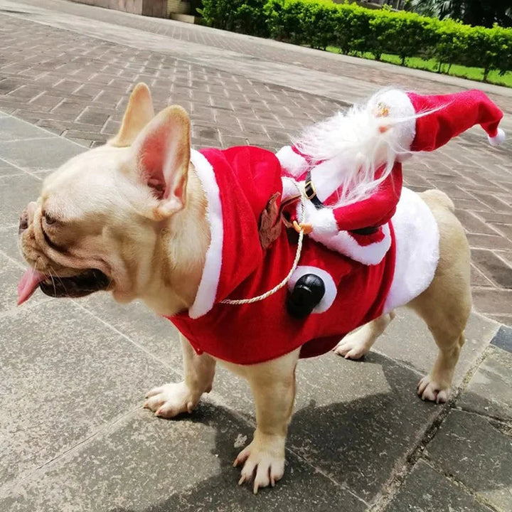 Christmas Costume for Dogs - SantaPaws