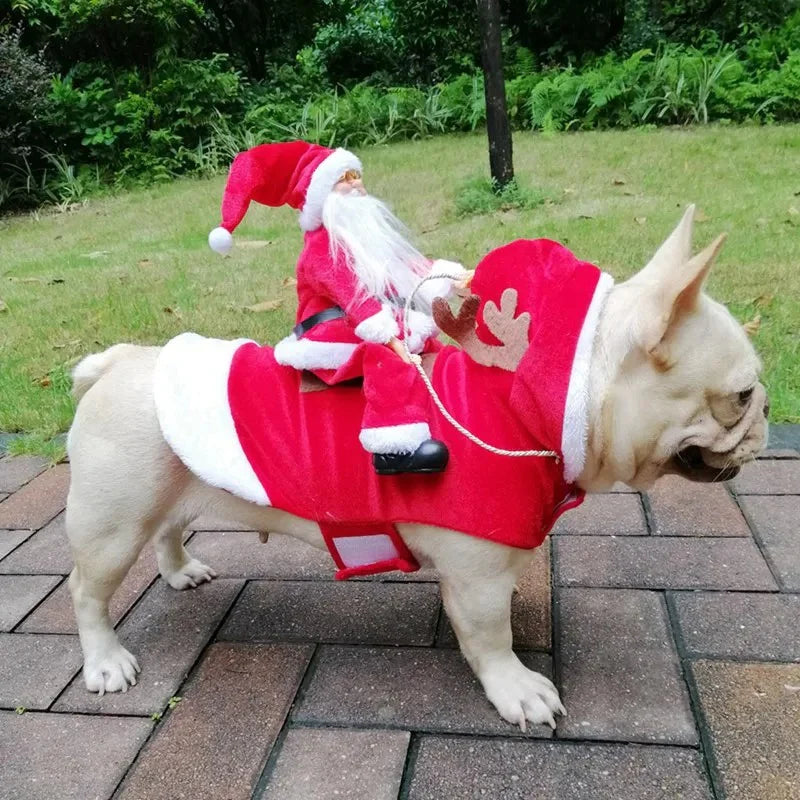 Christmas Costume for Dogs - SantaPaws