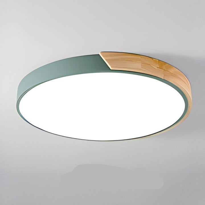 Groene ronde plafondlamp met houten accent aan de rand, vrijstaand getoond op een lichtgrijze achtergrond. 13