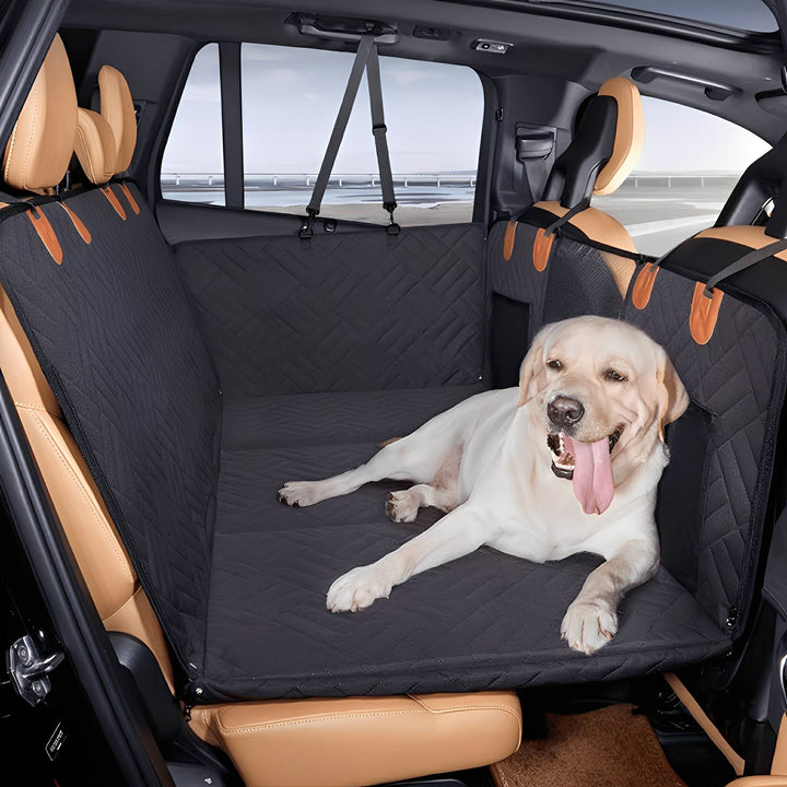 Zwart gewatteerd achterbankbed in een auto, waarop een lichtgekleurde labrador met uitgestoken tong ontspannen ligt. 1
