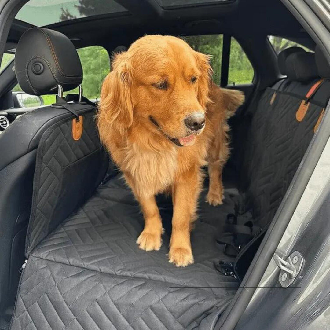 Golden retriever staat op de zwarte gewatteerde achterbankbekleding, die over de achterbank en tussen de voorstoelen is gespannen. 5