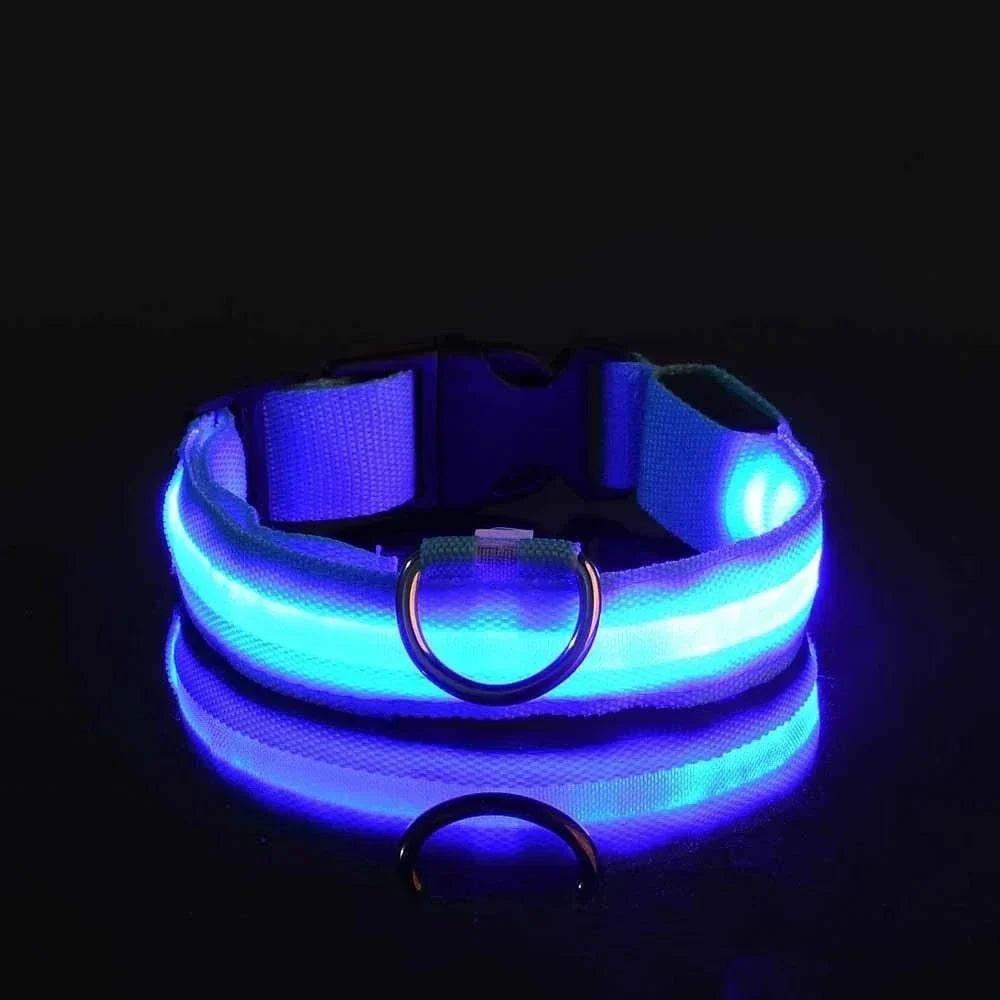 Blauwe halsband met fel oplichtende led-strook en D-ring tegen een zwarte achtergrond, met spiegelbeeld op het glanzende oppervlak. 4