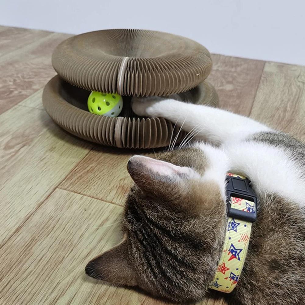 Aktywna zabawa dla twojego kota - PurrFit