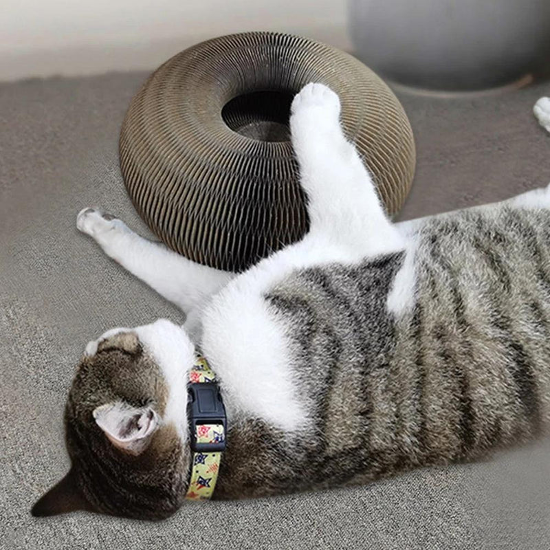 Aktywna zabawa dla twojego kota - PurrFit