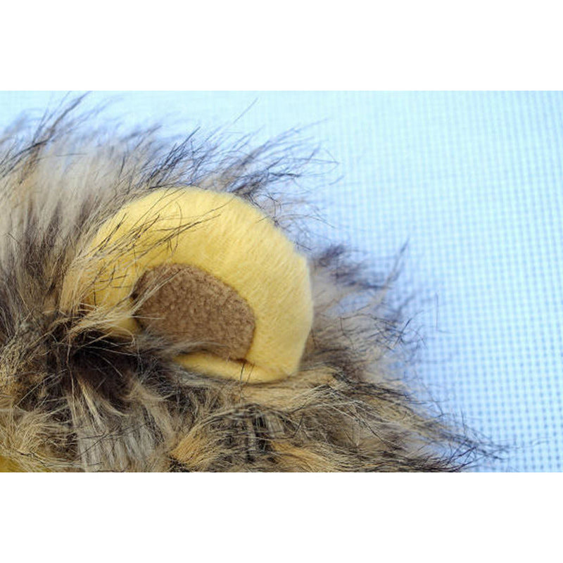 Lion Manes for Your Cat - LionPaws