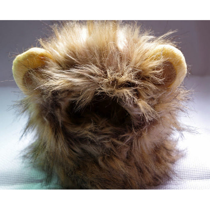 Lion Manes for Your Cat - LionPaws