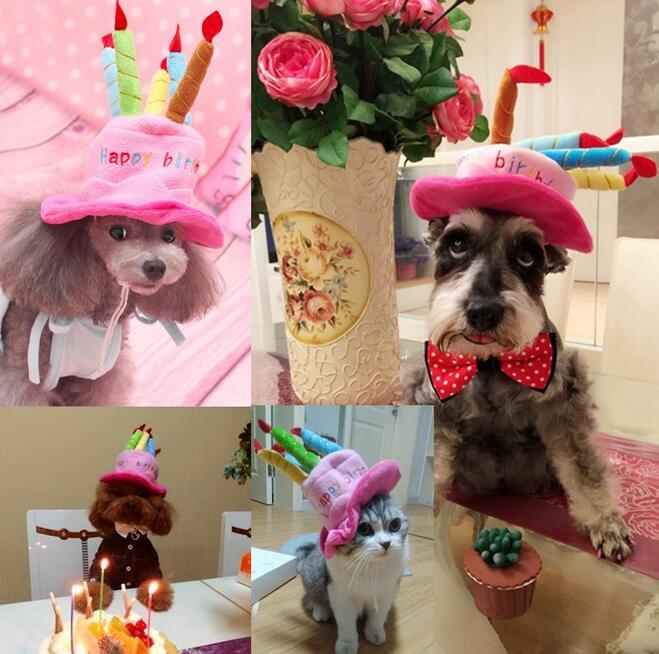 Verjaardagshoed voor Honden en Katten - PartyPaws