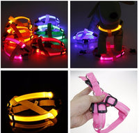 Hondentuigje met LED - Glow&Go