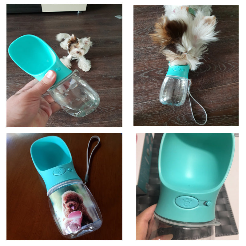 Dog Water Bottle for On the Go - HydroDog